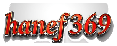 hanef369 logo